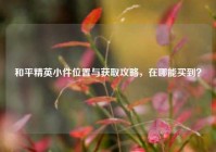 和平精英小件位置与获取攻略，在哪能买到？
