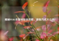 揭秘PUBG衣服领取全攻略，获取方式大公开