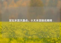 足坛水货大盘点，十大水货排名揭晓