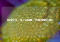 穿越火线，AK47火麒麟，热血荣耀的象征