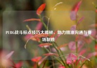 PUBG战斗标点技巧大揭秘，助力精准沟通与赛场制胜