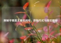 探秘平精英主播房间号，获取方式与背后精彩