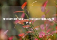 电信网络用户解决Steam白屏问题的排查与应对方法