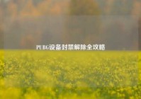 PUBG设备封禁解除全攻略
