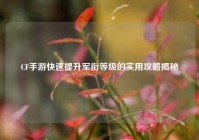 CF手游快速提升军衔等级的实用攻略揭秘