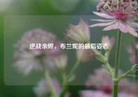 逆战余烬，布兰妮的最后姿态
