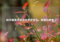 和平精英开语音时声音变小，体验与思考