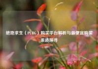 绝地求生（PUBG）购买平台解析与最便宜购买渠道探寻