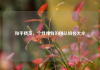 和平精英，个性独特的团队组名大全