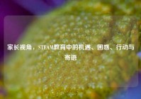 家长视角，STEAM教育中的机遇、困惑、行动与寄语