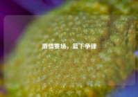 激情赛场，篮下争锋
