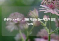喷子与CSGO图片，窥探网络生态一角及所谓喷子教程