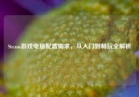 Steam游戏电脑配置需求，从入门到畅玩全解析