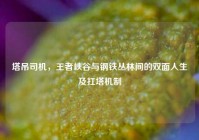 塔吊司机，王者峡谷与钢铁丛林间的双面人生及扛塔机制