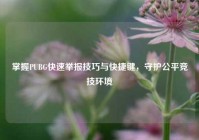 掌握PUBG快速举报技巧与快捷键，守护公平竞技环境