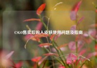 CSGO售卖后购入皮肤使用问题及指南