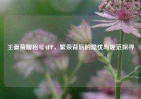 王者荣耀租号APP，繁荣背后的隐忧与规范探寻