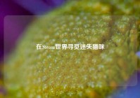 在Steam世界寻觅迷失猫咪