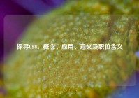 探寻CF0，概念、应用、意义及职位含义