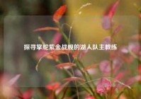 探寻掌舵紫金战舰的湖人队主教练