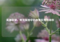 英雄联盟，电竞版图中的各赛区独特简称
