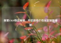 探索CSGO物品编辑，开启游戏个性化定制新维度