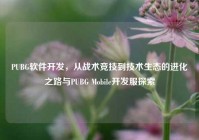 PUBG软件开发，从战术竞技到技术生态的进化之路与PUBG Mobile开发服探索