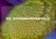 逆战，探寻其最巅峰时期的热血枪战记忆