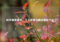 和平精英账号，个人故事与赠送朋友方法