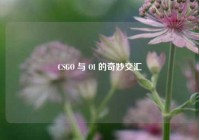 CSGO 与 OI 的奇妙交汇