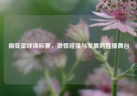 南亚足球锦标赛，激情碰撞与发展的直播舞台