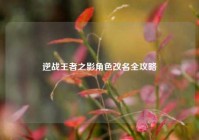 逆战王者之影角色改名全攻略