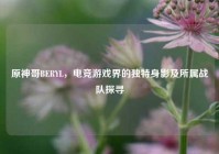 原神哥BERYL，电竞游戏界的独特身影及所属战队探寻