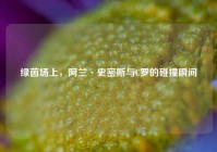 绿茵场上，阿兰·史密斯与C罗的碰撞瞬间