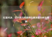 红蓝对决，切尔西与阿森纳比赛深度分析与预测