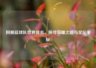 阿根廷球队世界排名，探寻荣耀之路与足坛坐标
