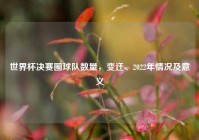 世界杯决赛圈球队数量，变迁、2022年情况及意义