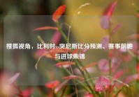 搜狐视角，比利时vs突尼斯比分预测、赛事前瞻与进球集锦