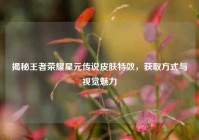 揭秘王者荣耀星元传说皮肤特效，获取方式与视觉魅力