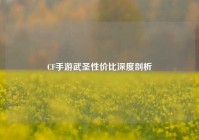 CF手游武圣性价比深度剖析