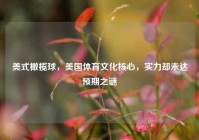 美式橄榄球，美国体育文化核心，实力却未达预期之谜