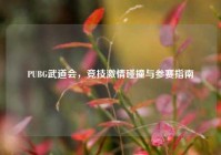 PUBG武道会，竞技激情碰撞与参赛指南