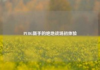 PUBG新手的绝地战场初体验