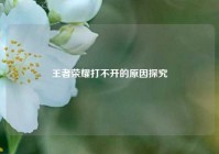 王者荣耀打不开的原因探究