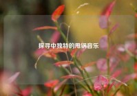 探寻中独特的甩锅音乐