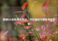 探秘LOL皮肤预览网站，开启视觉与体验奇妙之旅