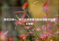 使命召唤16，现代战争键盘与鼠标设置及按键全解析