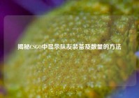 揭秘CSGO中显示队友装备及数量的方法