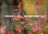 网易加速Steam相关，畅玩体验与换绑方法
