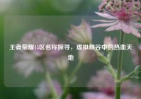 王者荣耀15区名称探寻，虚拟峡谷中的热血天地